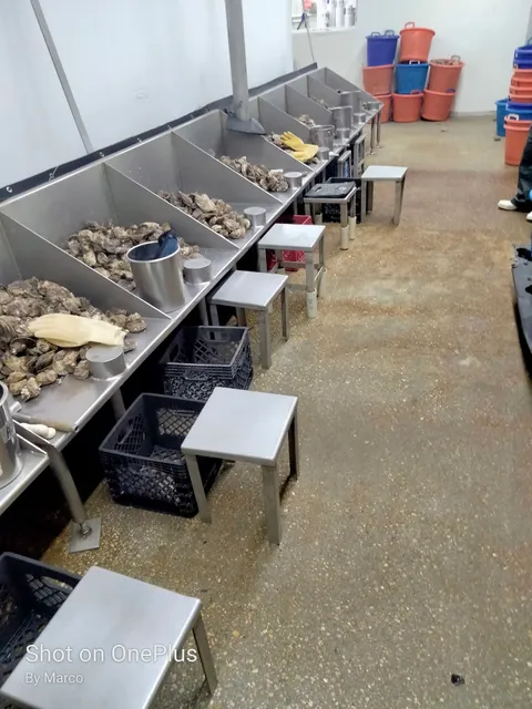 Junior Barbour Seafood