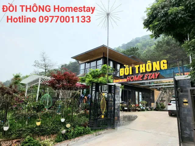 ĐỒI THÔNG Homestay