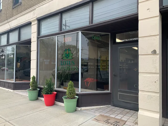 Lotus Candles - Online Only! www.shoplotuscandles.com