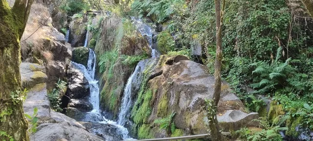 Pão Quente Rio De Sabores