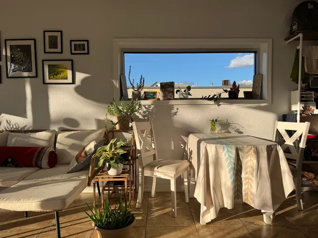 Zen Tea Fayetteville