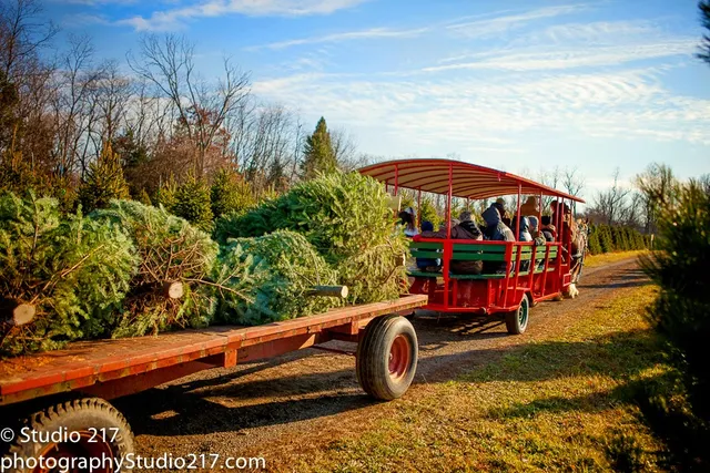Pioneer Trails Tree Farm