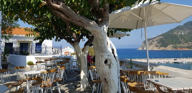 Vrachos All Day Cocktail Bar