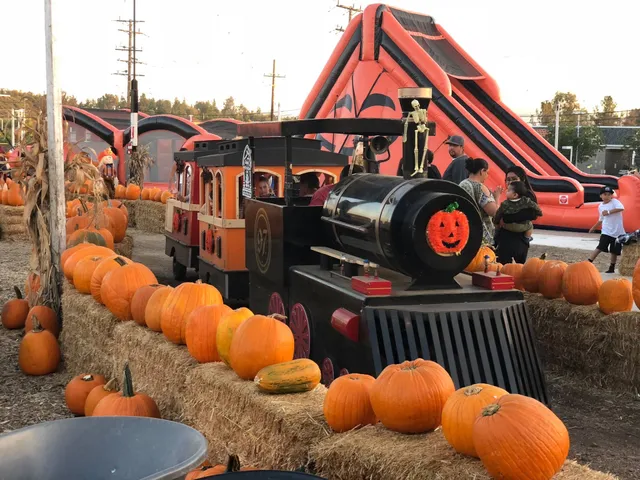 Seasonal Adventures Pumpkin Patch & Christmas Trees