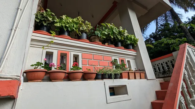 Delight homestays coorg(kodagu)