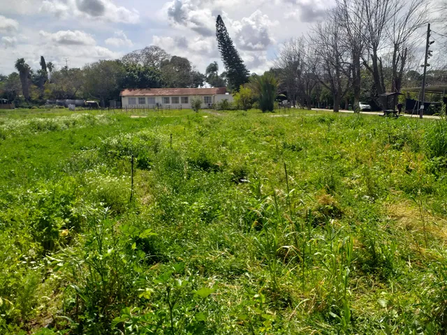 Agricultural Farm Telmei Avraham