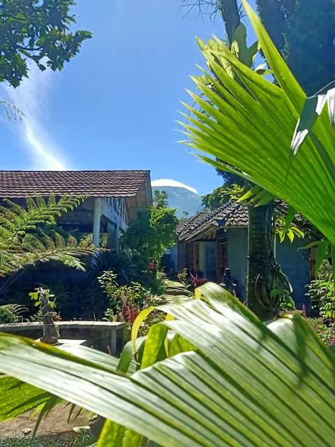 Pondok Bamboo Sendangsari