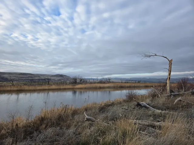 Priest Rapids SWA (State Wildlife Area)