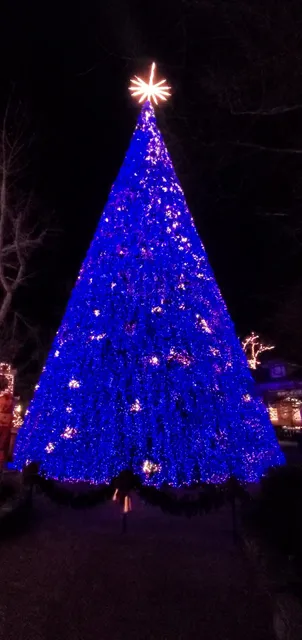 Silver Dollar City Tickets