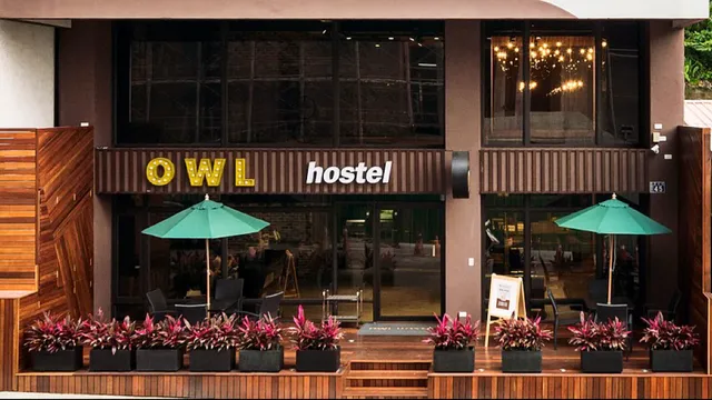 OWL Hostel 貓頭鷹旅店