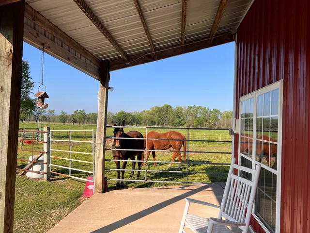 DOUBLE D LAZY T RANCH & BED, BREAKFAST & BARN