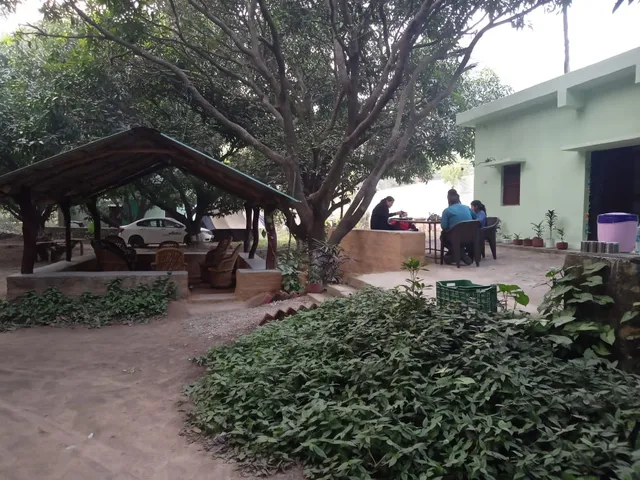 Corbett Green Orchard