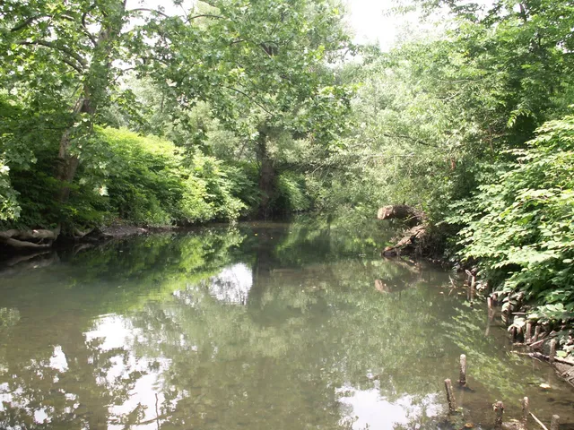 Shoelace Park Kayak Launch