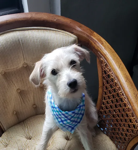 Harmony Animal Hospital