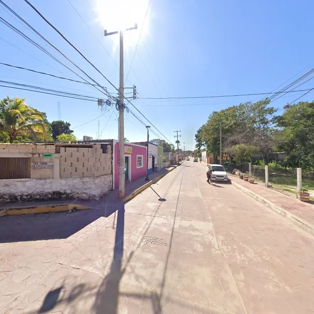 El Senor De Los Tacos