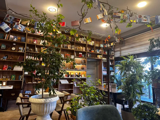 Milli Book Café / Nasimi