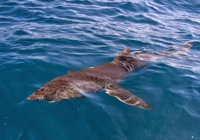 On The Fly Fishing Charters