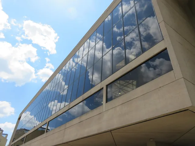 Wright State University Libraries