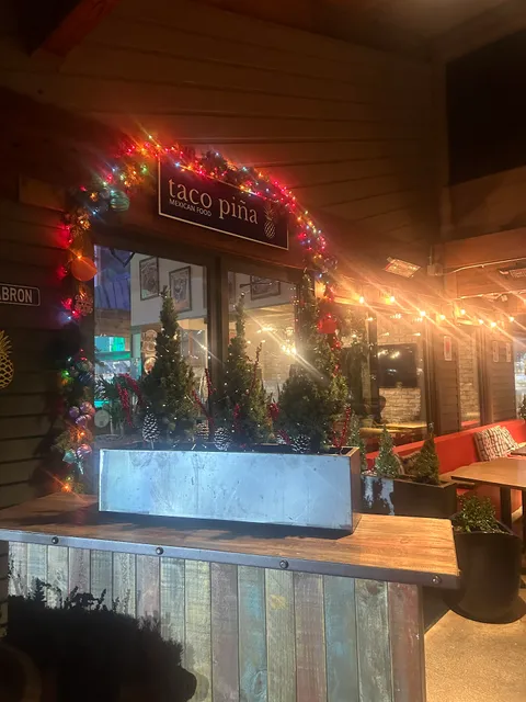 Taco pina