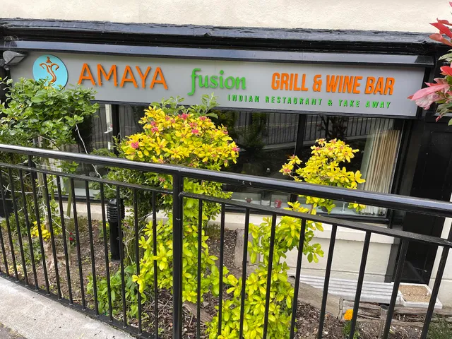 Amaya Fusion
