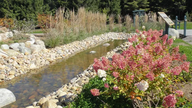 oiseaux au Domaine Saint-Bernard Garden