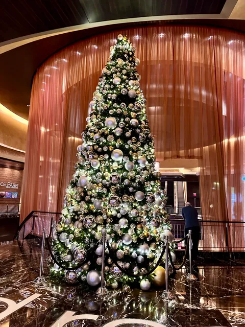 11011 W Charleston Blvd