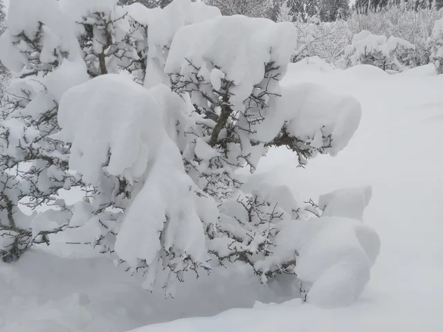 Ferienwohnungen Fritz - Centa und Franz Fritz