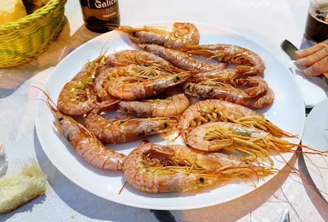 Bar Ultramarinos El Olmo