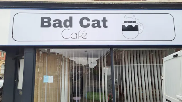 The bad cat cafe