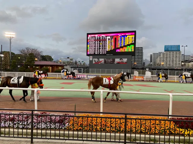 Oi Racecourse Paddock