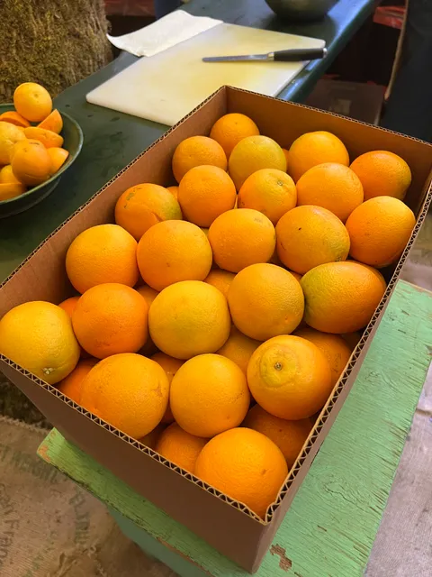 Organic Orange Juice 🍊