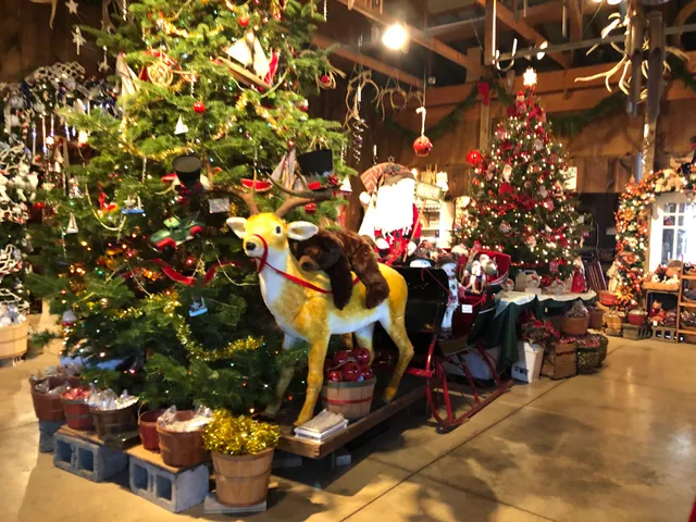 Galehouse Tree Farms