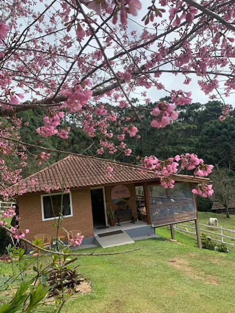 Reconto Café & Prosa