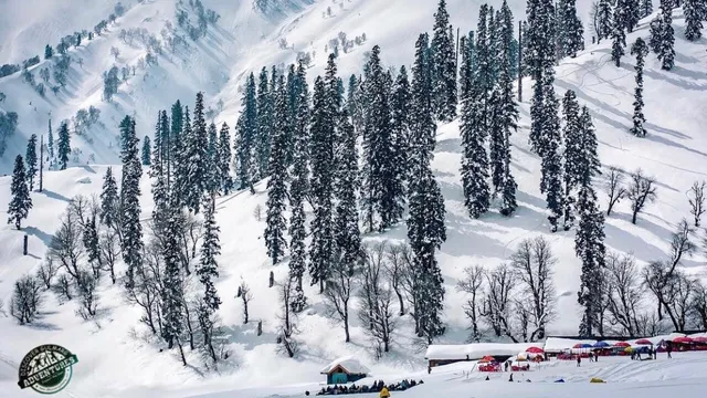 Discover Gulmarg Adventures Kashmir