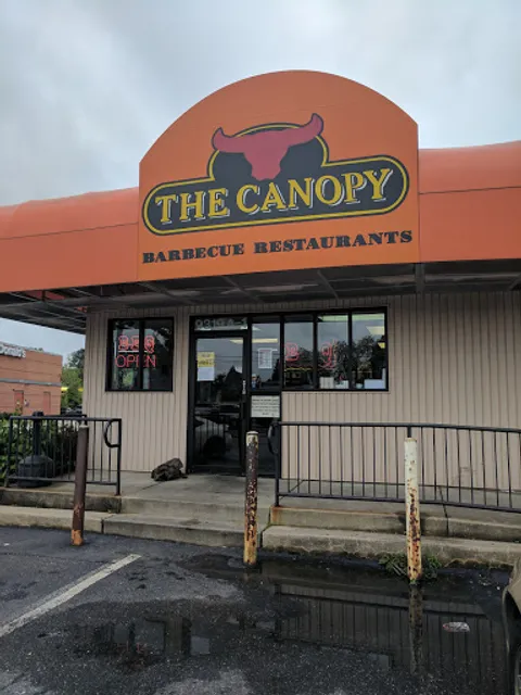 The Canopy