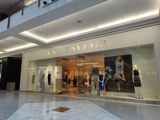 Ann Taylor