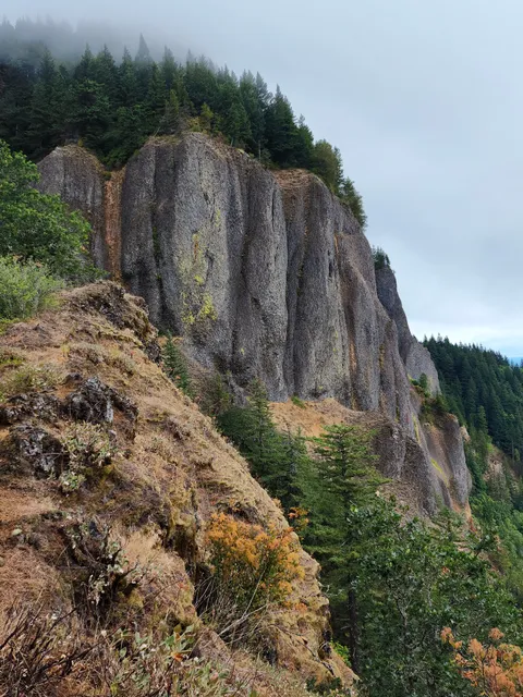 Hamilton Mountain Trail