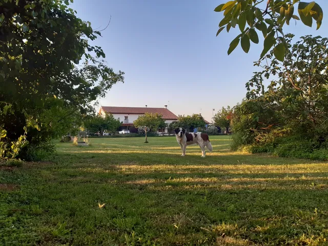Agriturismo il Podere Vedelago - Camere e Ristorazione