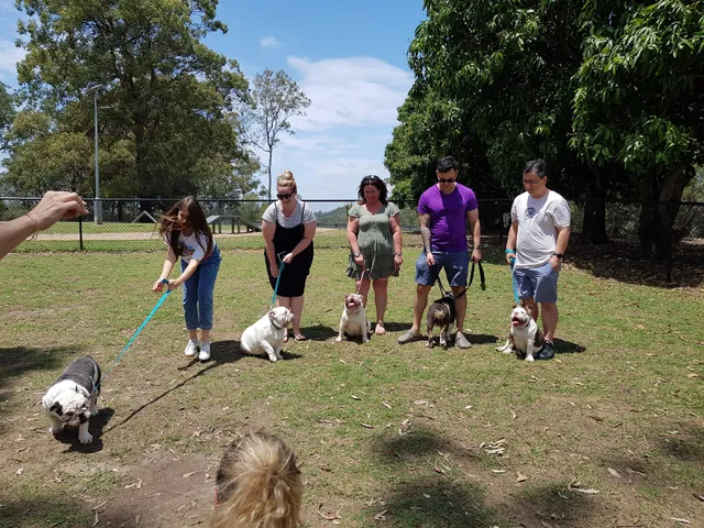 Whites Hill Dog Park