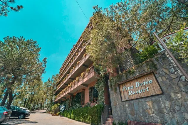 Pine Drive Resort