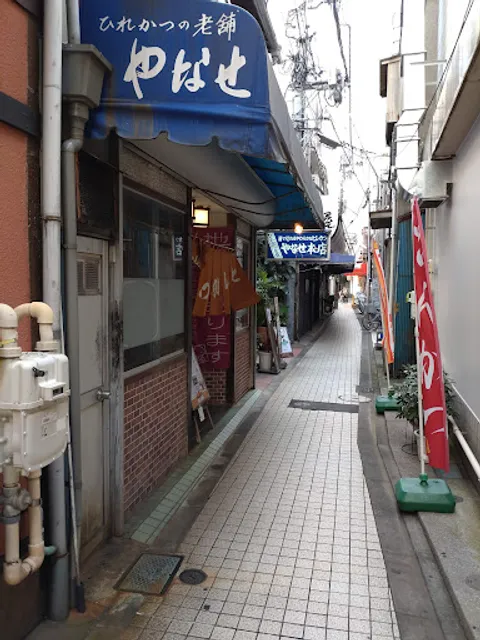 Hirekatsu Yanase Main Store