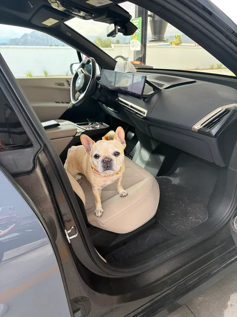 Quick Quack Car Wash