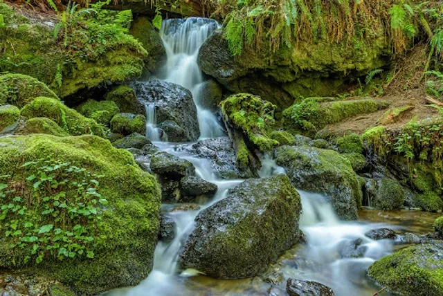 Trillium Falls Trail