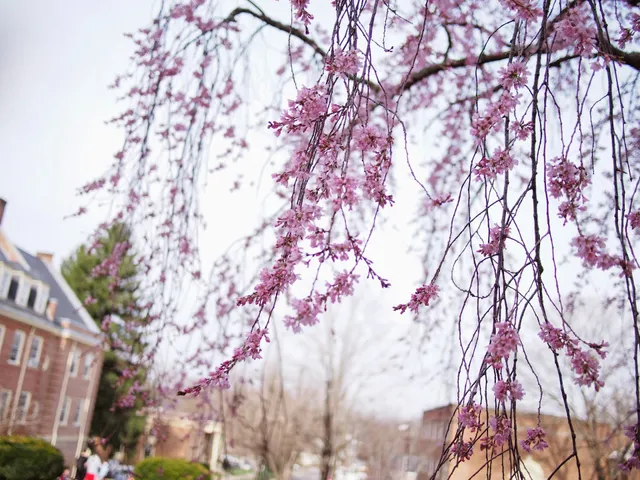 Southern Virginia University