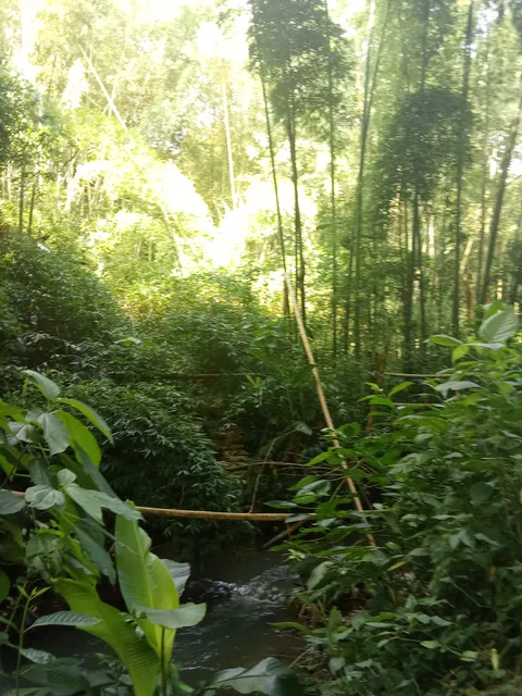 Av Centenario Armenia