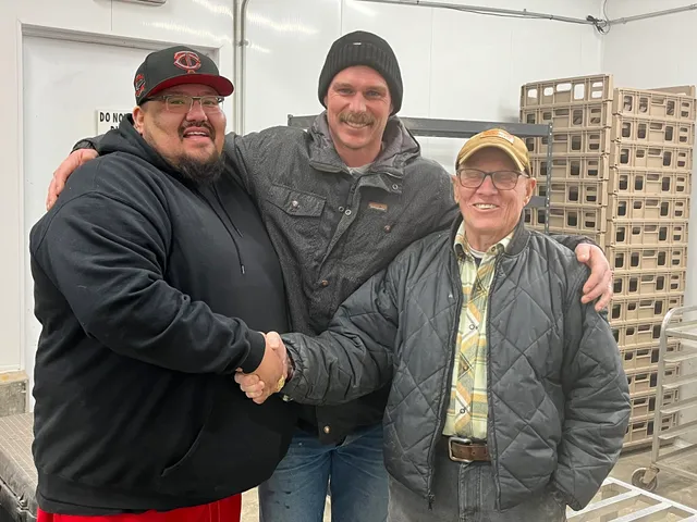 Sacred Storm Buffalo