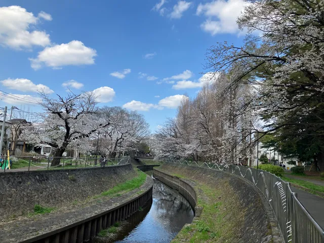 Zenpukuji River Green Park