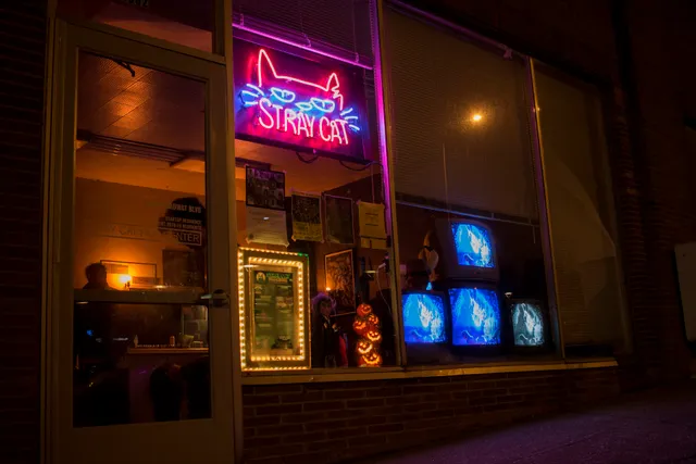 Stray Cat Film Center