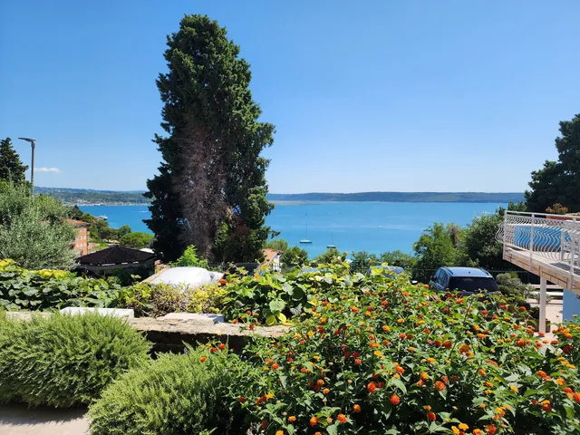 Matos Family Apartments & Rooms