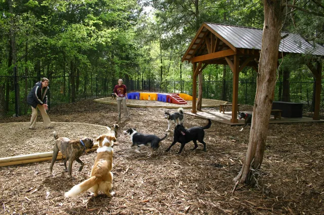 Safari Pet Resort